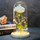 Enchanted Forever Rose Flower in Glass LED Light Christmas Decoration - LuxSable