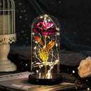 Enchanted Forever Rose Flower in Glass LED Light Christmas Decoration - LuxSable