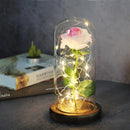 Enchanted Forever Rose Flower in Glass LED Light Christmas Decoration - LuxSable