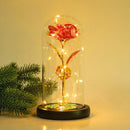 Enchanted Forever Rose Flower in Glass LED Light Christmas Decoration - LuxSable