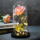 Enchanted Forever Rose Flower in Glass LED Light Christmas Decoration - LuxSable