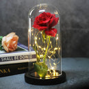 Enchanted Forever Rose Flower in Glass LED Light Christmas Decoration - LuxSable