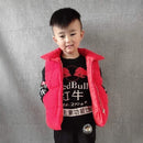 Down Cotton Vest Autumn And Winter Waistcoat Winter Clothing Children - LuxSable
