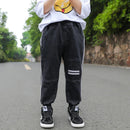 Spring Boys Casual Pants Spring And Autumn Korean Version Of The Pants - LuxSable