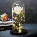 Enchanted Forever Rose Flower in Glass LED Light Christmas Decoration - LuxSable