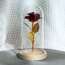 Enchanted Forever Rose Flower in Glass LED Light Christmas Decoration - LuxSable