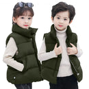 Down Cotton Vest Autumn And Winter Waistcoat Winter Clothing Children - LuxSable