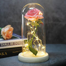Enchanted Forever Rose Flower in Glass LED Light Christmas Decoration - LuxSable