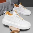British Casual Board Shoes