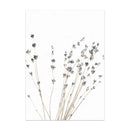 Nordic Small Plant Decoration Painting Canvas Painting - LuxSable